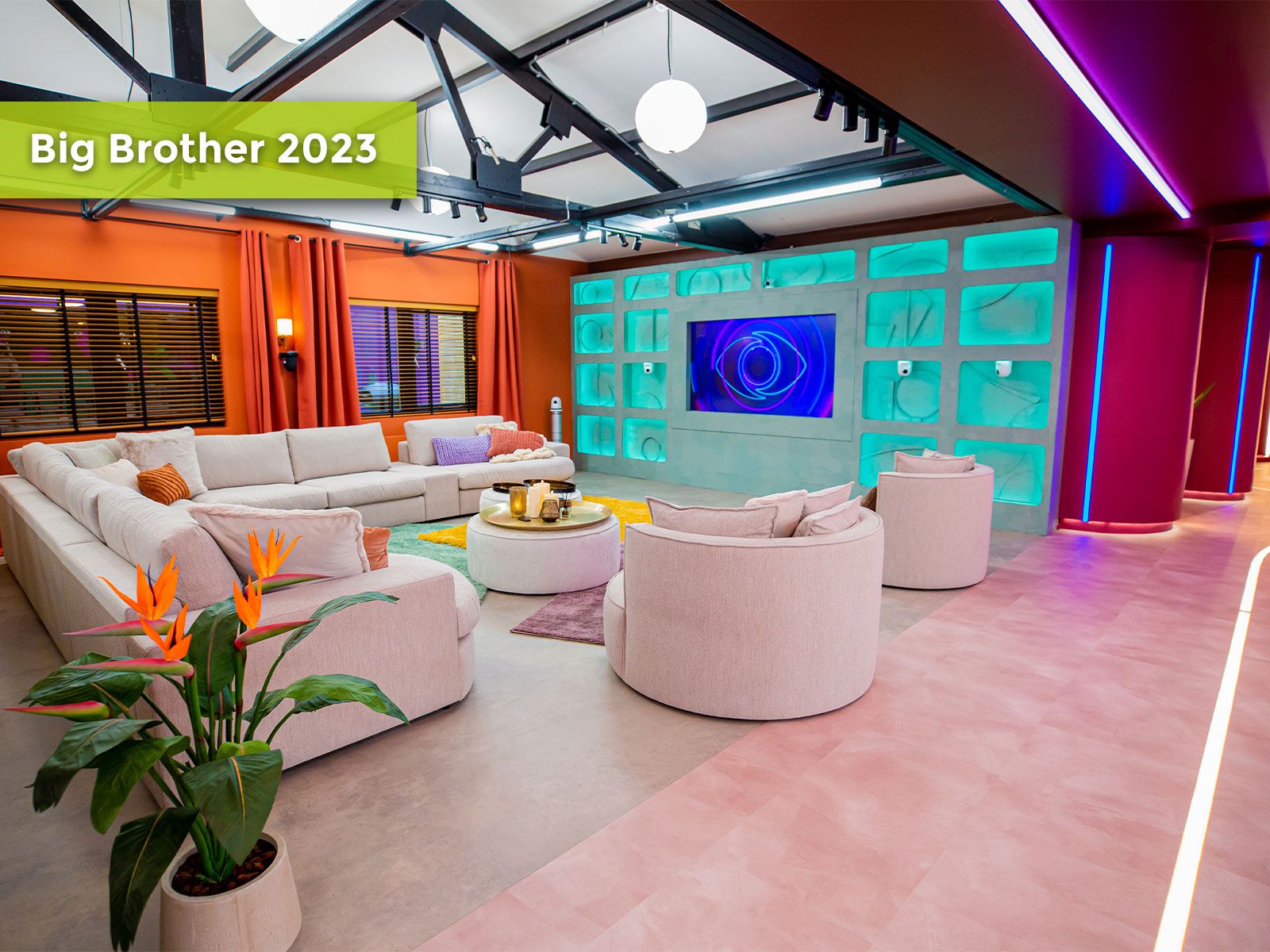 Big Brother 2023 met vloeren van VLOERLOODS.nl